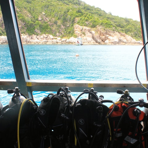 Scuba dive Koh Tao, Thailand